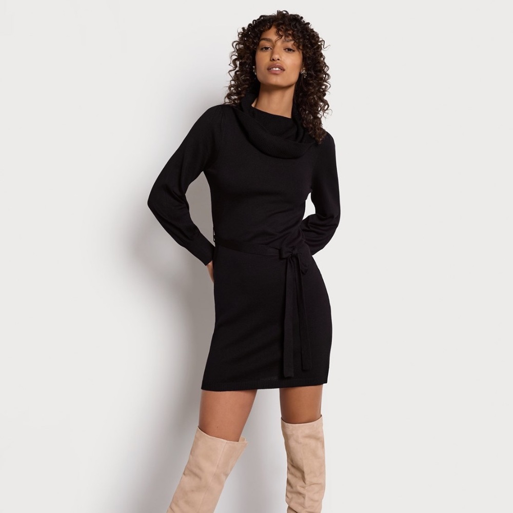 NWT Sam Edelman Turtle Neck Mini Dress